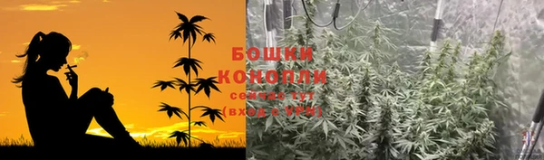 хмурый Дмитриев