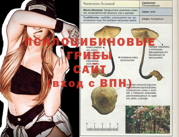 прущая мука Медвежьегорск