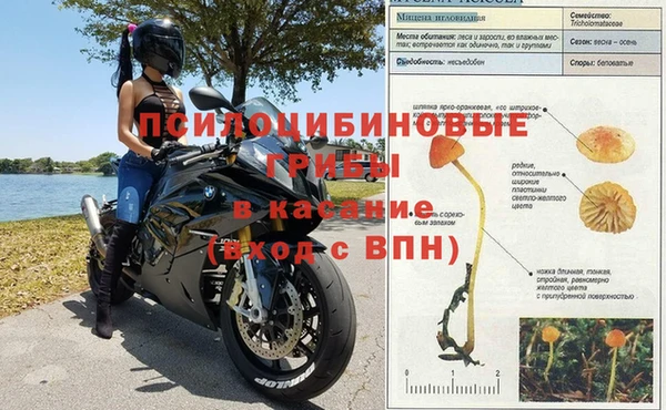 герыч Медногорск