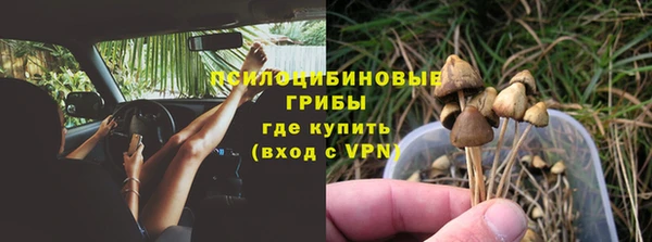 дурь Гусев