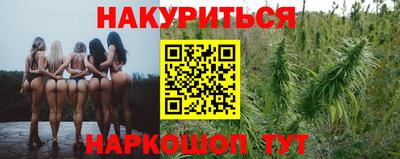 мяу мяу мука Бийск