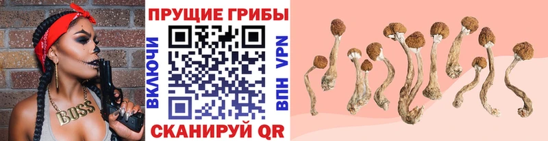 Псилоцибиновые грибы GOLDEN TEACHER  Добрянка 