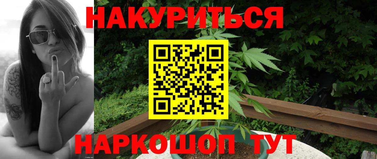 Каннабис сатива Добрянка